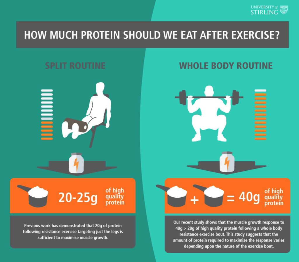 how_much_protein_should_we_eat_after_exercise